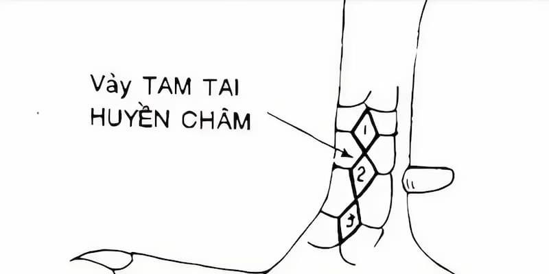 Các loại vảy tam tai được nhiều người quan tâm 