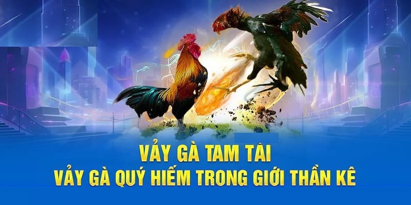 Vảy tam tai siêu hiếm được nhiều người săn đón